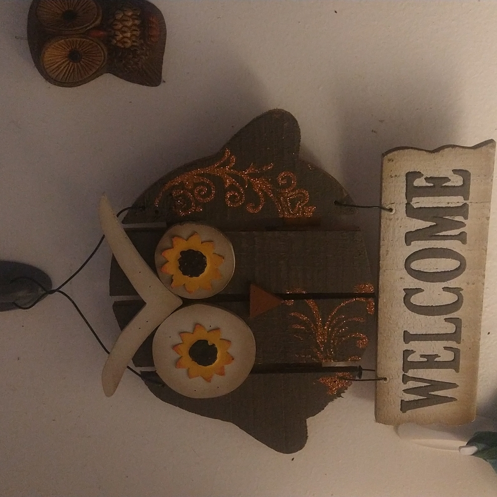 Wooden owl welcome sign handmade